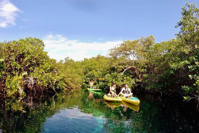 Paddleboard Cenote Tour - An In-Depth Look at the Itinerary