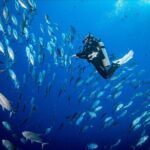 PADI Discover Scuba Diving - Analyzing the Value and Experience