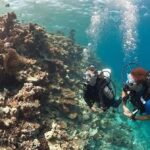 PADI Discover Scuba Diving: at Hol Chan Marine Reserve - What Travelers Say & Why It Matters