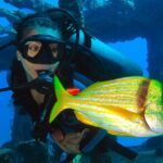 PADI Open Water Diving Certification Course Activity - What This Tour Means for You