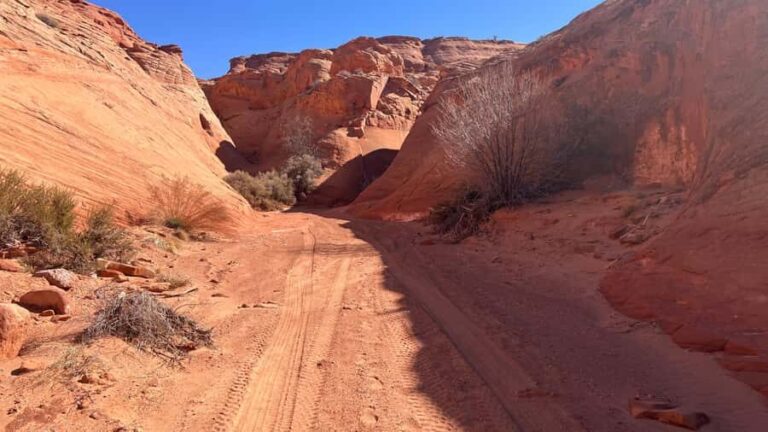 Page: Wind Canyon Tour with Navajo Guide - What Travelers Are Saying