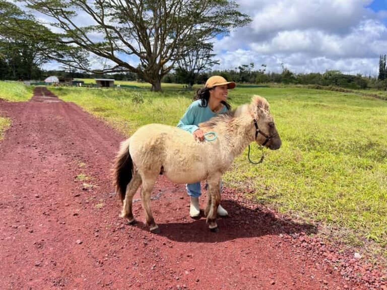 Pahoa: Ranch Tour with Animal Feedings and Interactions - The Practicalities: What You Need to Know