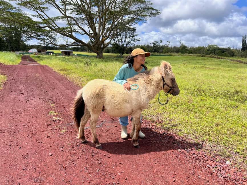 Pahoa: Ranch Tour with Animal Feedings and Interactions - The Practicalities: What You Need to Know