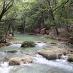 Palenque: Rafting and Jungle Trail Adventure - What to Expect: The Experience in Detail