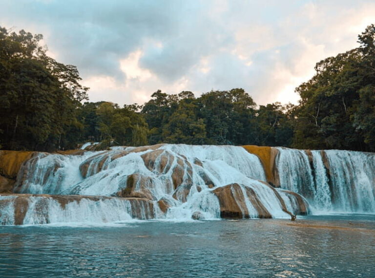 Palenque: Roberto Barrios Waterfall Tour - Transportation and Logistics