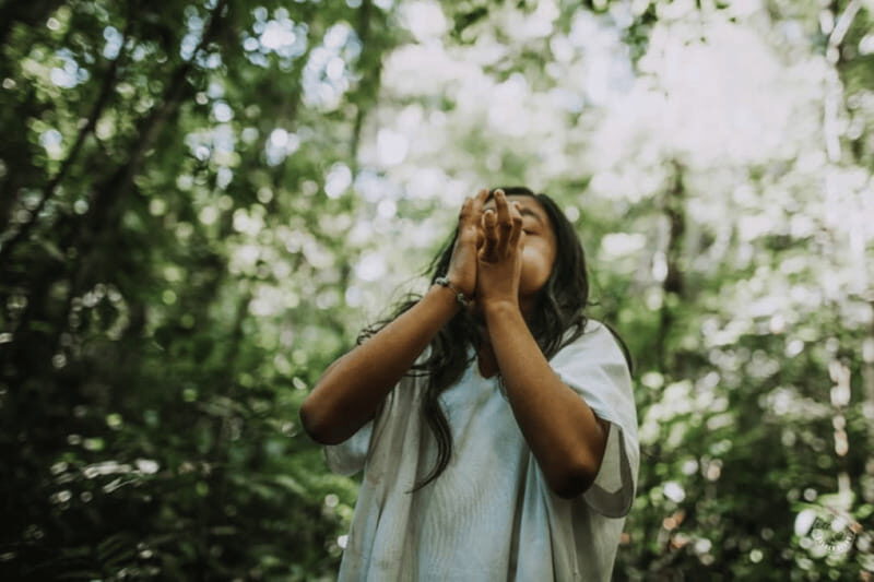 Palenque: Yaxchilan, Bonampak and Lacanja Jungle Adventure - Who Would Enjoy This Tour?