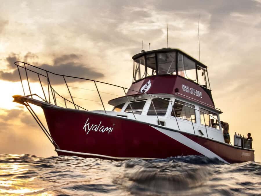 Palm Beach: Island Cruise on the Intracoastal - What to Bring and Wear