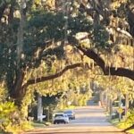 Palmetto Pioneers and Self Guided Monticello Walking Tour - The itinerary in detail