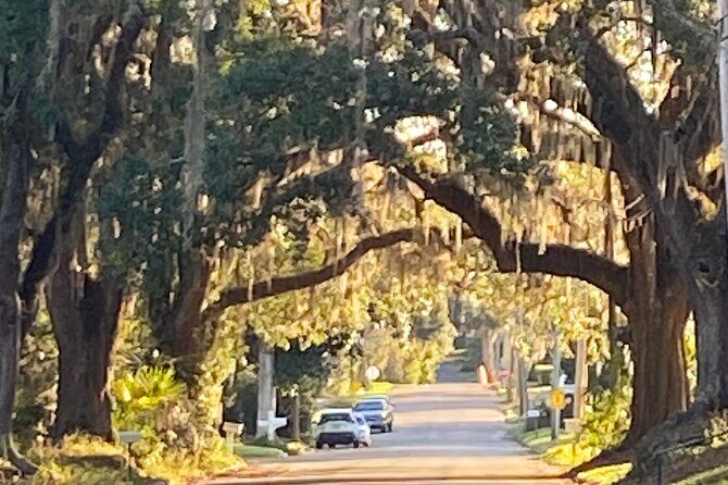 Palmetto Pioneers and Self Guided Monticello Walking Tour - The itinerary in detail