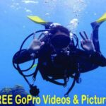 Panama City Beach: Beginners Scuba Diving Tour - The Underwater Experience