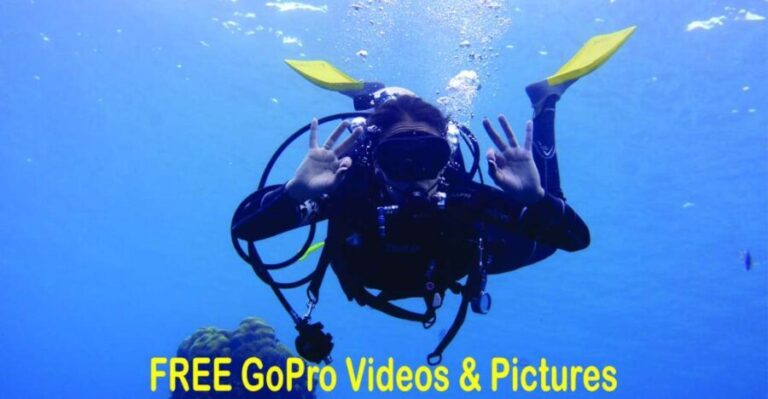 Panama City Beach: Beginners Scuba Diving Tour - The Underwater Experience
