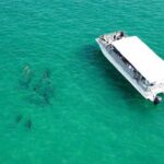 Panama City Beach Dolphin Cruise - Final Thoughts