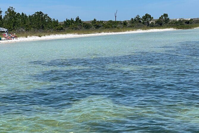Panama City Beach Florida, Dolphin, Shell Island and Eco Tours - An In-Depth Look at the Panama City Beach Eco and Dolphin Tour