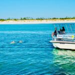 Panama City Beach: Snorkel Excursion with Good Jibez Only - Authentic Experiences & Genuine Value