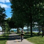 Panoramic Electric Bike Tour of Quebec City - What Travelers Should Know