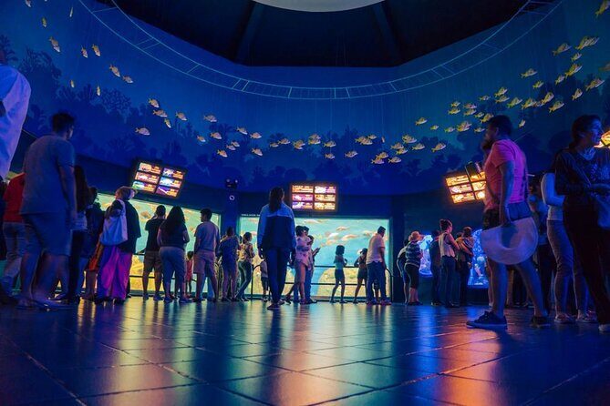 Panoramic Sightseeing Bus City Tour of Veracruz - How the Tour Works