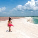 Paradisiacal tour: Las Coloradas Pink Lake and Rio Lagartos with Lunch included. - Potential Drawbacks and Tips