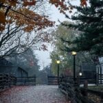 Paranormal Investigation Alone in the Dark at Black Creek - Analyzing the Value