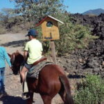 Paricutin Volcano Crater Special Tour - The Climb and Scenic Highlights