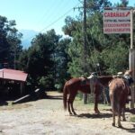 Paricutin Volcano Tour (Morelia) - Transportation and Group Size