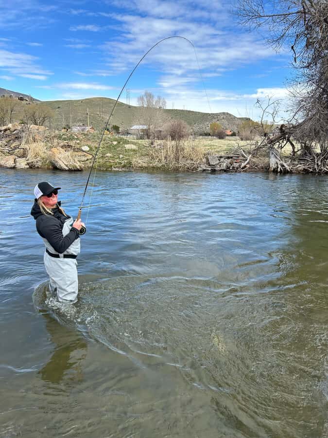 Park City: Guided Fly Fishing on Provo & Weber Rivers - The Rivers: Provo & Weber