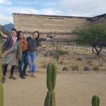 Paths of Mezcal - Authentic Experiences and Local Insights