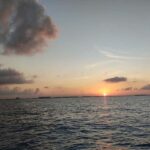 PDC: Isla Mujeres Catamaran Tour with Snorkeling - Additional Details and Practical Tips