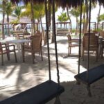 Peaceful experience at the best beach club in Riviera Maya - What Makes This Tour Stand Out