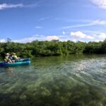 Pedal Kayak Mangrove Tunnel Tour in Bradenton - Final Thoughts: Is It Worth It?