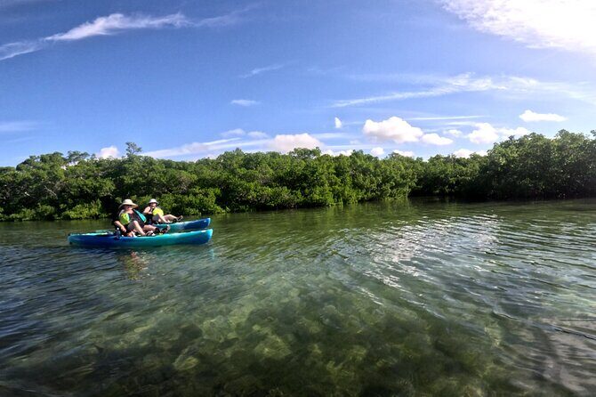 Pedal Kayak Mangrove Tunnel Tour in Bradenton - Final Thoughts: Is It Worth It?