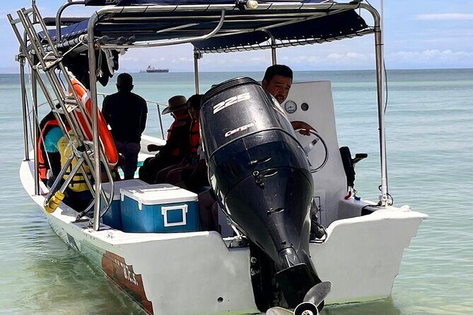 Personalized Adventures in La Paz - Pricing and Value