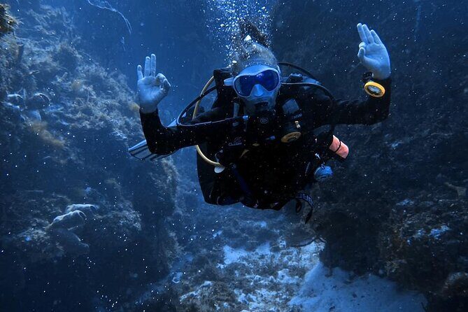 Personalized Snorkeling and Diving Experience in Riviera Maya - What to Expect in the Water