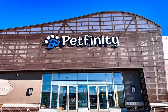 Petfinity Indoor Dog Park in Calgary - The Sum Up: Is Petfinity Indoor Dog Park Right for You?