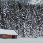 Peyto Lake Lake Louise Johnston Canyon Bow Lake from Calgary - What Does the Tour Include and Exclude?