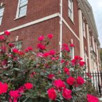 Philadelphia: Women of the Revolution Walking Tour - Practical Aspects and Value