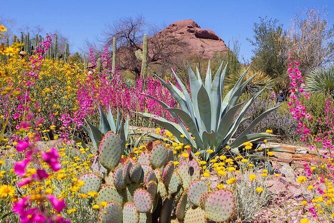 Phoenix and Scottsdale City Highlights - An In-Depth Look at the Tour Experience