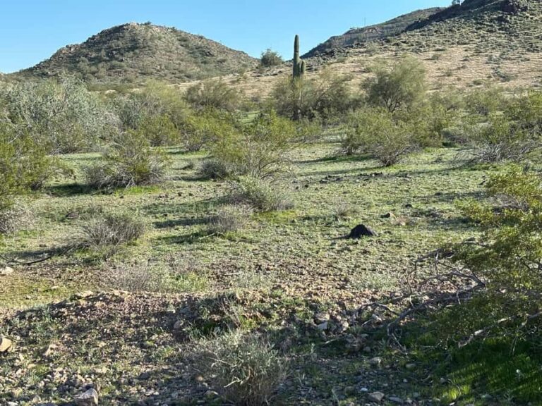 Phoenix: Guided Mountain Bike Adventure in Sonoran Desert - Who Would Enjoy This Tour?