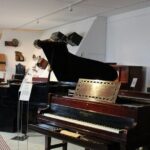 Phoenix Landmarks Tour Desert Botanical Garden - Exploring the Desert Botanical Garden