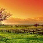 Phoenix Vortex to Vineyard Shared Tour - Final Thoughts