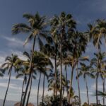 Photo Session Experience in Vallarta - The Itinerary: Simple, Focused, and Effective