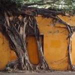 Photo Walking Tour Historic District Mazatlán - Detailed Breakdown of the Itinerary