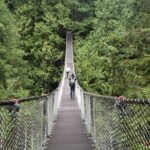 Photography in Rainforest & Suspension Bridge - The Trail and Scenery