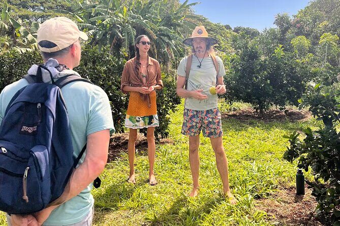Pick and Taste Tropical Fruit - Why This Tour Has Raked in Top Reviews