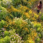 Pick Your Own Flowers on the Farm - Final Thoughts: Is It Worth It?