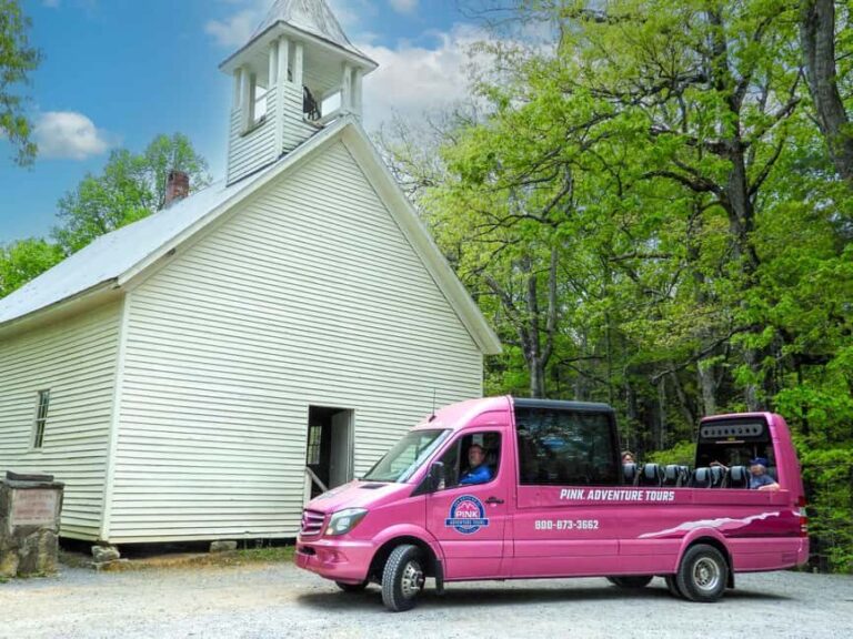 Pigeon Forge: Cades Cove Tour in a Pink Panorama Van - The Value of the Experience: What You Get for Your Money