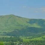 Pigeon Forge: Smoky Bear Discovery Tour - Why This Tour Works Well for Travelers