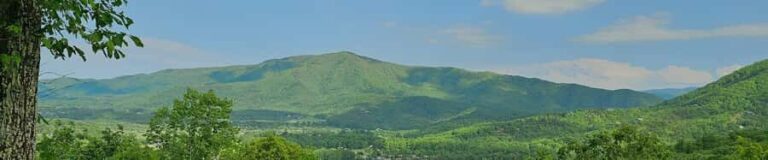 Pigeon Forge: Smoky Bear Discovery Tour - Why This Tour Works Well for Travelers