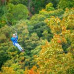 Pigeon Forge: Smoky Mountains 7-Line Zipline Tour - How the Tour Unfolds