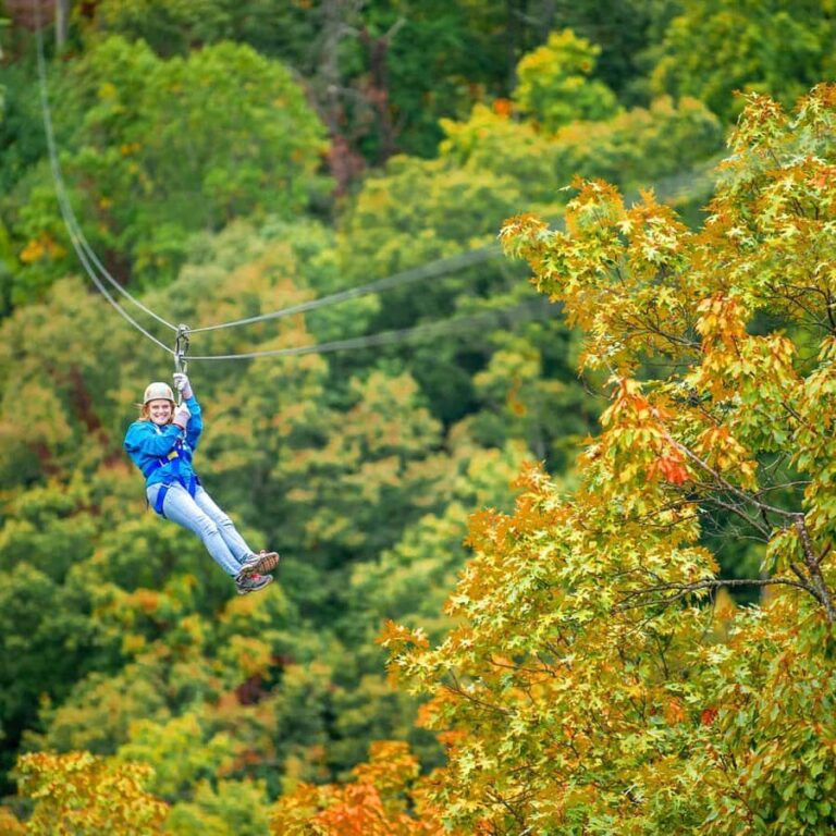 Pigeon Forge: Smoky Mountains 7-Line Zipline Tour - How the Tour Unfolds