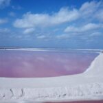 Pink Lake Lagoon and Rio Lagartos Tour from Cancun - Authentic Experiences and Highlights
